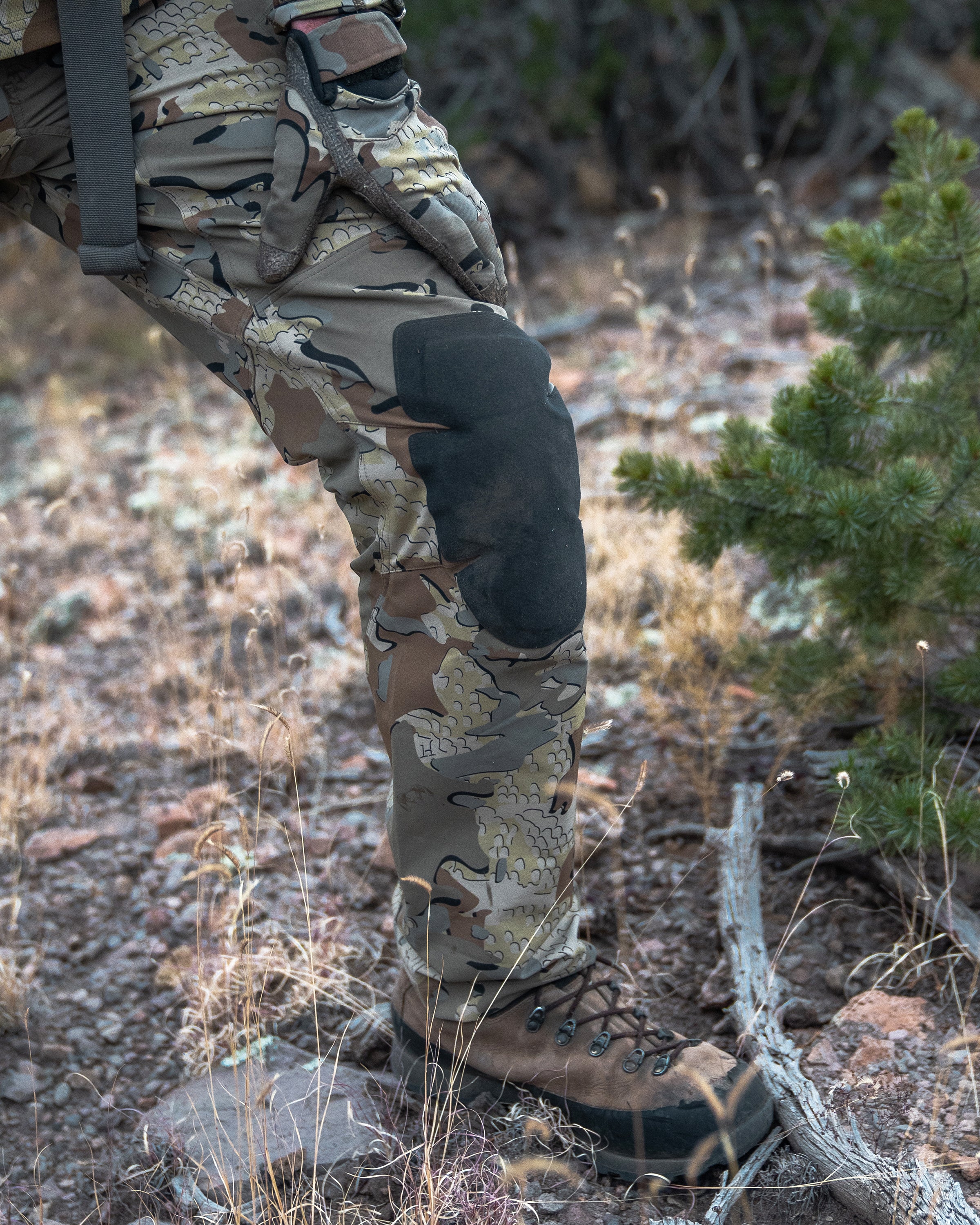 PRO Pant | Valo - Image 5